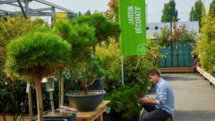 Le projet de rapprochement entre Gamm vert, Delbard et Jardiland prévoit de maintenir distinctement les trois enseignes. Le projet de rapprochement entre Gamm vert, Delbard et Jardiland prévoit de maintenir distinctement les trois enseignes.