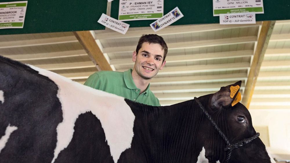 Depuis plusieurs années, l'élevage est de retour dans les ventes aux enchères. Récemment, Guillaume Sanial présentait deux génisses à Eurogénétique, à Épinal.© CLAUDIUS THIRIET Depuis plusieurs années, l'élevage est de retour dans les ventes aux enchères. Récemment, Guillaume Sanial présentait deux génisses à Eurogénétique, à Épinal.© CLAUDIUS THIRIET