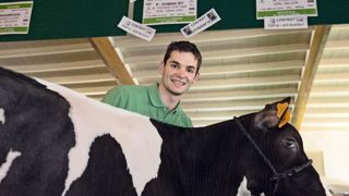 Depuis plusieurs années, l'élevage est de retour dans les ventes aux enchères. Récemment, Guillaume Sanial présentait deux génisses à Eurogénétique, à Épinal.© CLAUDIUS THIRIET Depuis plusieurs années, l'élevage est de retour dans les ventes aux enchères. Récemment, Guillaume Sanial présentait deux génisses à Eurogénétique, à Épinal.© CLAUDIUS THIRIET