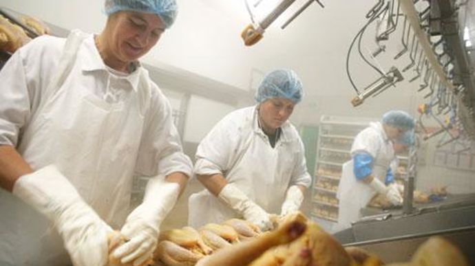 Le troisième opérateur national Doux devrait sous peu rejoindre Terrena qui conforte ainsi sa filière volailles aux côtés de Gastronome (photo), second du marché. Le troisième opérateur national Doux devrait sous peu rejoindre Terrena qui conforte ainsi sa filière volailles aux côtés de Gastronome (photo), second du marché.