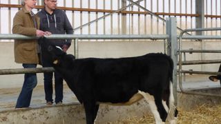 C'est avec Amaury Smets qu'Emmanuel Delmotte (à droite), conseiller économique ACE, a initié cette approche qui consiste à prendre le temps en début de campagne de déterminer les besoins d'EBE et de marge brute de l'éleveur. C'est avec Amaury Smets qu'Emmanuel Delmotte (à droite), conseiller économique ACE, a initié cette approche qui consiste à prendre le temps en début de campagne de déterminer les besoins d'EBE et de marge brute de l'éleveur.