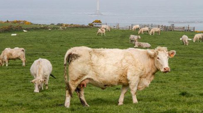 Le lait, le porc et la viande bovine, sont les productions ciblées par le plan d'accompagnement annoncé le 23 février par le conseil d'administration d'Agrial. © A. DUFUMIER Le lait, le porc et la viande bovine, sont les productions ciblées par le plan d'accompagnement annoncé le 23 février par le conseil d'administration d'Agrial. © A. DUFUMIER