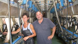 Jean et Lieve Geelen se sont installés en 1983. Ils produisaient alors 400 000 l de lait. Ils sont aujourd'hui à 900 000 l après plusieurs achats de quotas, dont 200 000 l aux parents de Lieve. Jean et Lieve Geelen se sont installés en 1983. Ils produisaient alors 400 000 l de lait. Ils sont aujourd'hui à 900 000 l après plusieurs achats de quotas, dont 200 000 l aux parents de Lieve.