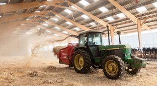 Le paillage de l'aire de couchage ne devrait pas dépasser 2 kg/m2 après le curage et 1 kg/m2 les jours suivants.© CHRISTIAN WATIER Le paillage de l'aire de couchage ne devrait pas dépasser 2 kg/m2 après le curage et 1 kg/m2 les jours suivants.© CHRISTIAN WATIER