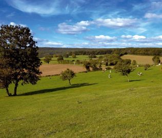 En Normandie, des prairies sur sols limoneux peuvent fournir jusqu'à 200 kg/ha d'azote.© PHILIPPE DESCHAMPS En Normandie, des prairies sur sols limoneux peuvent fournir jusqu'à 200 kg/ha d'azote.© PHILIPPE DESCHAMPS