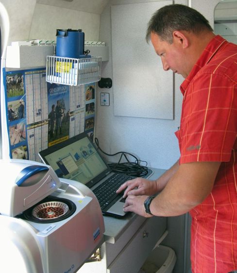 Avec la méthode par qPCR, les résultats issus de la machine d'amplification des fragments d'ADN (boîtier en bas à gauche) apparaissent en temps réel sur le logiciel.© J. P. Avec la méthode par qPCR, les résultats issus de la machine d'amplification des fragments d'ADN (boîtier en bas à gauche) apparaissent en temps réel sur le logiciel.© J. P.