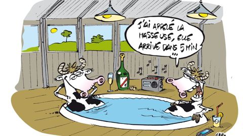 © DENIS LEHÉ