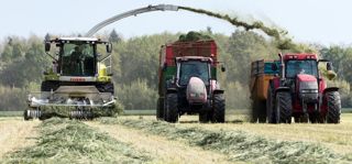 Les meilleurs ensilages préfanés, analysés par la chambre d'agriculture du Puy-de-Dôme, ont un temps de séchage au sol moyen de vingt-quatre heures et les plus mauvais de quarante-huit heures.© CHRISTIAN WATIER Les meilleurs ensilages préfanés, analysés par la chambre d'agriculture du Puy-de-Dôme, ont un temps de séchage au sol moyen de vingt-quatre heures et les plus mauvais de quarante-huit heures.© CHRISTIAN WATIER