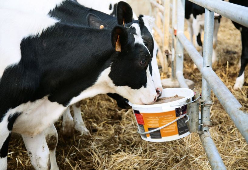 Les produits se présentent en seaux de 20 à 125 kg, de sorte à gagner en praticité pour des cheptels toujours plus importants.