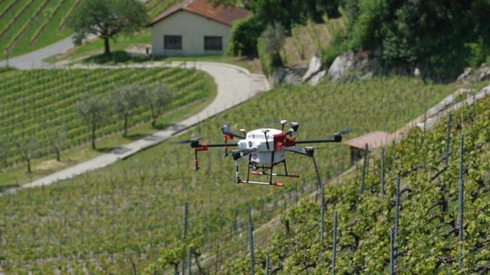 Le secteur viticole est en première ligne de cette expérimentation.