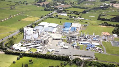 Le site de Te Rapa, près d'Auckland, peut traiter jusqu'à 7 Ml de lait par jour et emploie 600 personnes. Il possède quatre tours de séchage dont la plus grosse produit 23 t de poudre/h. Au total, Te Rapa sort 300 000 t de produits laitiers par an (225 000 t de poudre et 70 000 t de crème). En moyenne, 900 à 1 000 t de poudre sont fabriquées chaque jour.