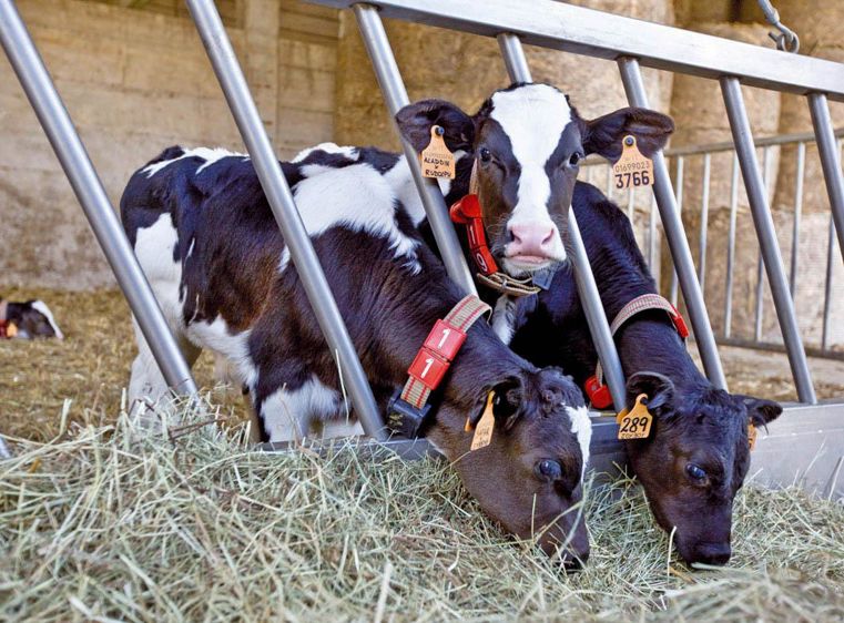 © CLAUDIUS THIERIET