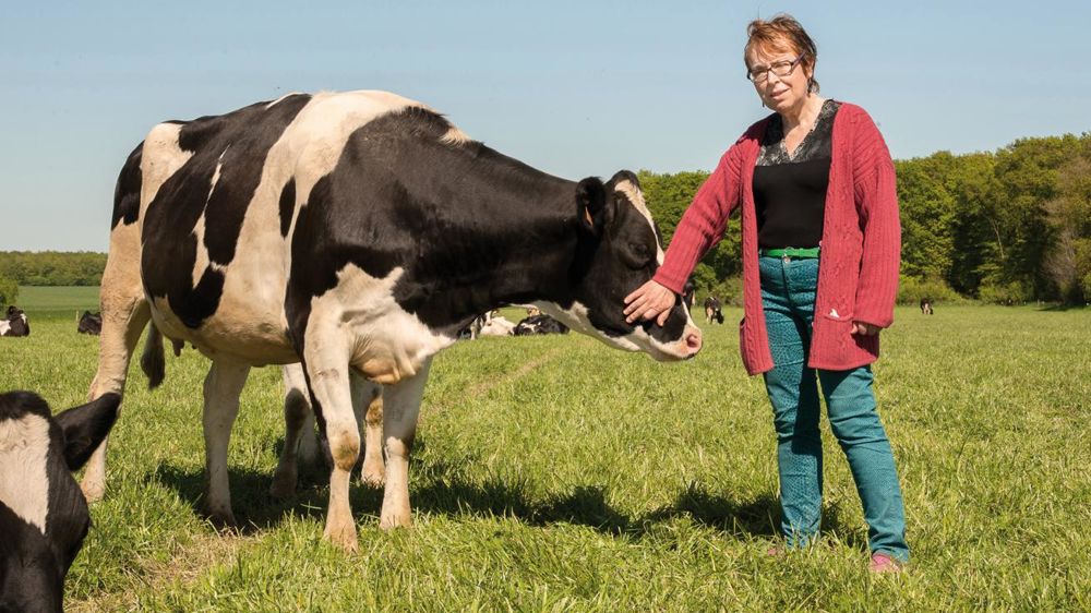 À la pâture, le niveau de cellules ne pose pas de problème car les parcelles sont situées sur des lieux géobiologiquement neutres.© ÉMILIE AUVRAY À la pâture, le niveau de cellules ne pose pas de problème car les parcelles sont situées sur des lieux géobiologiquement neutres.© ÉMILIE AUVRAY
