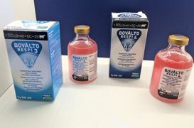 Bovalto Respi 3 et 4 apportent une protection de six mois contre quatre agents infectieux responsables de maladies respiratoires. Bovalto Respi 3 et 4 apportent une protection de six mois contre quatre agents infectieux responsables de maladies respiratoires.