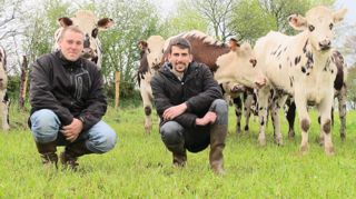 D'avril à décembre, les génisses à inséminer et gestantes sont au pâturage. Nicolas Lautour et Mickaël Salles installent un ratelier équipé de cornadis pour les inséminer et les échographier.PHOTOS © C.H. D'avril à décembre, les génisses à inséminer et gestantes sont au pâturage. Nicolas Lautour et Mickaël Salles installent un ratelier équipé de cornadis pour les inséminer et les échographier.PHOTOS © C.H.