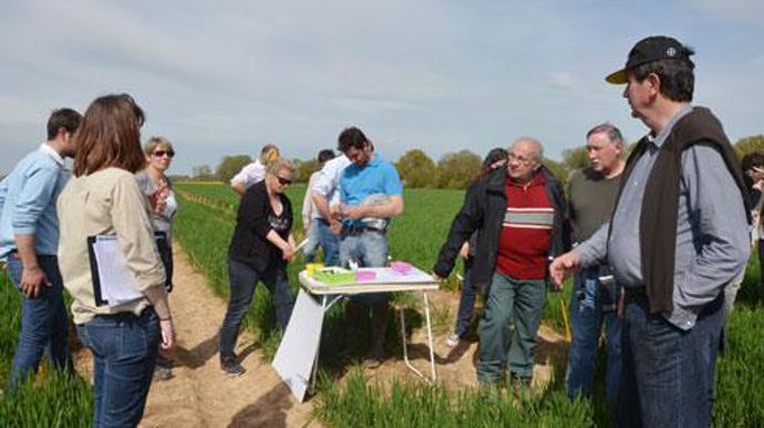 Lors de la journée désherbage, les adhérents de la Scael ont pu découvrir les résultats des essais. Sans conteste, le décalage de la date de semis joue un rôle majeur sur les adventices. © A. RICHARD Lors de la journée désherbage, les adhérents de la Scael ont pu découvrir les résultats des essais. Sans conteste, le décalage de la date de semis joue un rôle majeur sur les adventices. © A. RICHARD