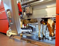 Optionnel, le programme DLM optimise la distribution du concentré dans la stalle en fonction de son coût, du prix du lait et de la réponse de la vache. Optionnel, le programme DLM optimise la distribution du concentré dans la stalle en fonction de son coût, du prix du lait et de la réponse de la vache.