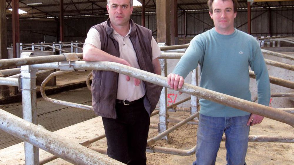 L'augmentation du quota de 182 000 l en 2008 a incité James et Loïc Louvet à accroître la capacité d'hébergement de leur stabulation, tout en ayant le souci de limiter le coût de l'investissement et de gagner en confort de travail. L'augmentation du quota de 182 000 l en 2008 a incité James et Loïc Louvet à accroître la capacité d'hébergement de leur stabulation, tout en ayant le souci de limiter le coût de l'investissement et de gagner en confort de travail.