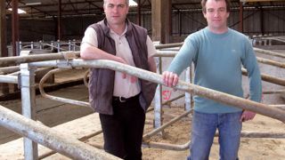 L'augmentation du quota de 182 000 l en 2008 a incité James et Loïc Louvet à accroître la capacité d'hébergement de leur stabulation, tout en ayant le souci de limiter le coût de l'investissement et de gagner en confort de travail. L'augmentation du quota de 182 000 l en 2008 a incité James et Loïc Louvet à accroître la capacité d'hébergement de leur stabulation, tout en ayant le souci de limiter le coût de l'investissement et de gagner en confort de travail.