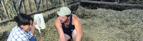 Épigénétique et colostrum. Les éleveurs qui produisent le plus de lait sont ceux qui drenchent les veaux dès la naissance pour assurer les 4 litres ingérés deux heures après la naissance. Claudius THIRIET