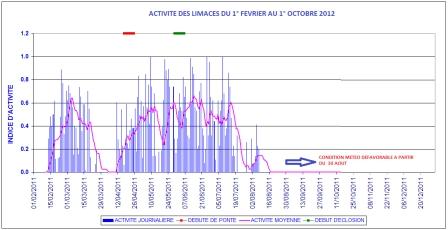 Avec des conditions sèches à partir du 1er septembre : depuis le 15 août, les limaces ont stoppé leur activité et ne devraient pas revenir en surface avant le 1er octobre.