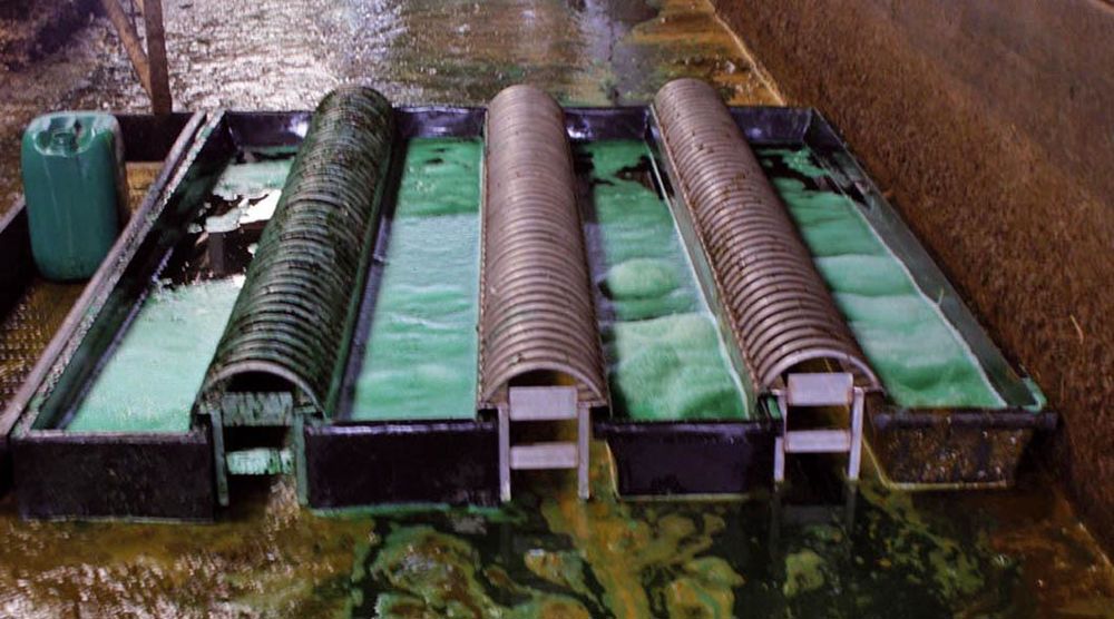 Le Bi-Pédiluve peut s'installer dans un couloir de contention ou un espace plus large en en juxtaposant plusieurs côte à côte.