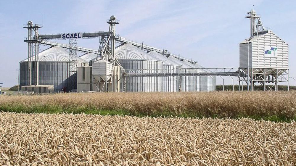 La Scael devient le premier apporteur de l'union avec 800 000 t et complète l'offre sur les marchés à l'export.