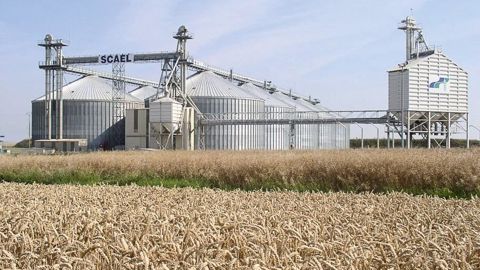 La Scael devient le premier apporteur de l'union avec 800 000 t et complète l'offre sur les marchés à l'export.