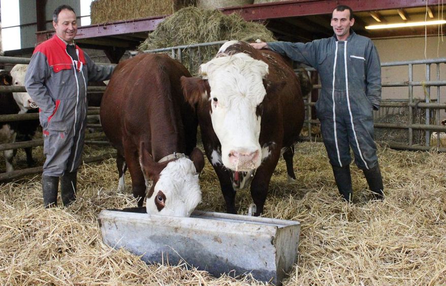 « Alors que les marchés du reblochon et de la tomme commencent à saturer, le fromage abondance possède de réelles perspectives de développement, estiment Christian Convers et Yannick Espaze du Gaec Le Védelou. Intégrer davantage de femelles de cette race dans notre troupeau est cohérent économiquement. »© PHOTOS A.B. « Alors que les marchés du reblochon et de la tomme commencent à saturer, le fromage abondance possède de réelles perspectives de développement, estiment Christian Convers et Yannick Espaze du Gaec Le Védelou. Intégrer davantage de femelles de cette race dans notre troupeau est cohérent économiquement. »© PHOTOS A.B.