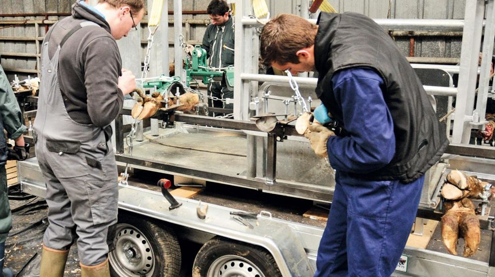 Une formation est organisée par France Bovia (avec Étienne Canival). Dans un premier temps, elle passe par des travaux pratiques sur des pattes mortes avant de lever les pattes en situation réelle.© DOMINIQUE GRÉMY