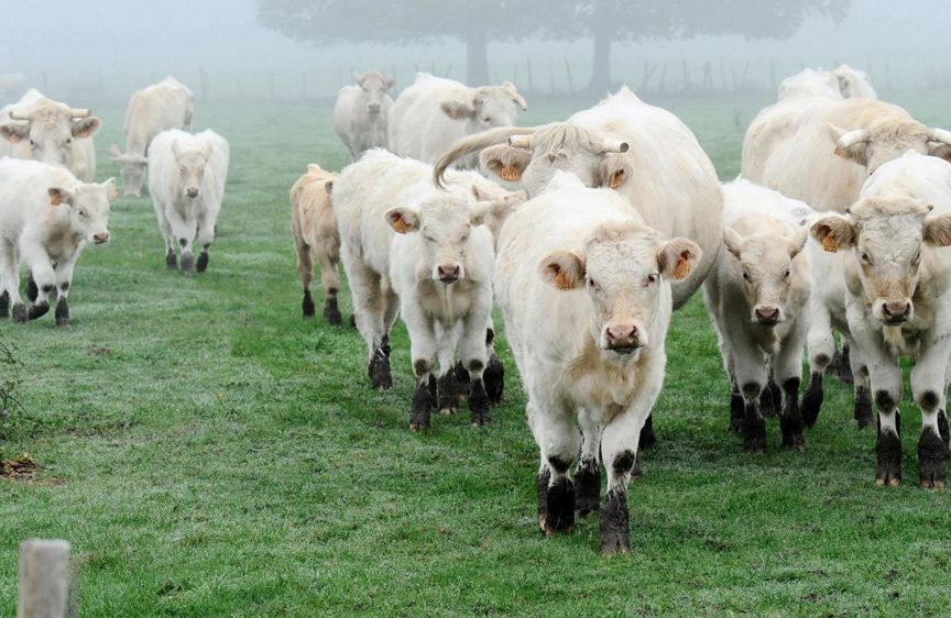 © PHILIPPE MONTIGNY/FILIMAGES 