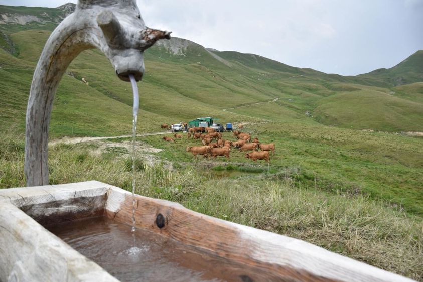 
						La zone de production du beaufort couvre la partie haute montagne de la Savoie, sur les trois vallées du beaufortain-val d’Arly, de la Tarentaise et de la Maurienne, soit une superficie de 450 000 hectares. 
							© Syndicat de défense du fromage beaufort