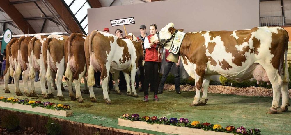 REPORTAGE PHOTOS : © FRANÇOIS VUILLEMIN