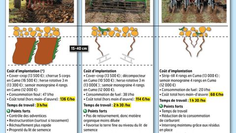 Les plus audacieux se permettent de passer le strip-till en combiné avec le semoir monograine derrière une dérobée, sitôt l'ensileuse sortie du champ. La prairie (souvent du ray-grass italien) est alors détruite par un passage de glyphosate en post-semis.© D.G.