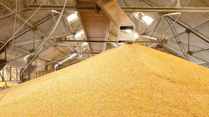 Concernant les grains stockés, il y a désormais 7 fiches actions CEPP. © S. CHAMPION