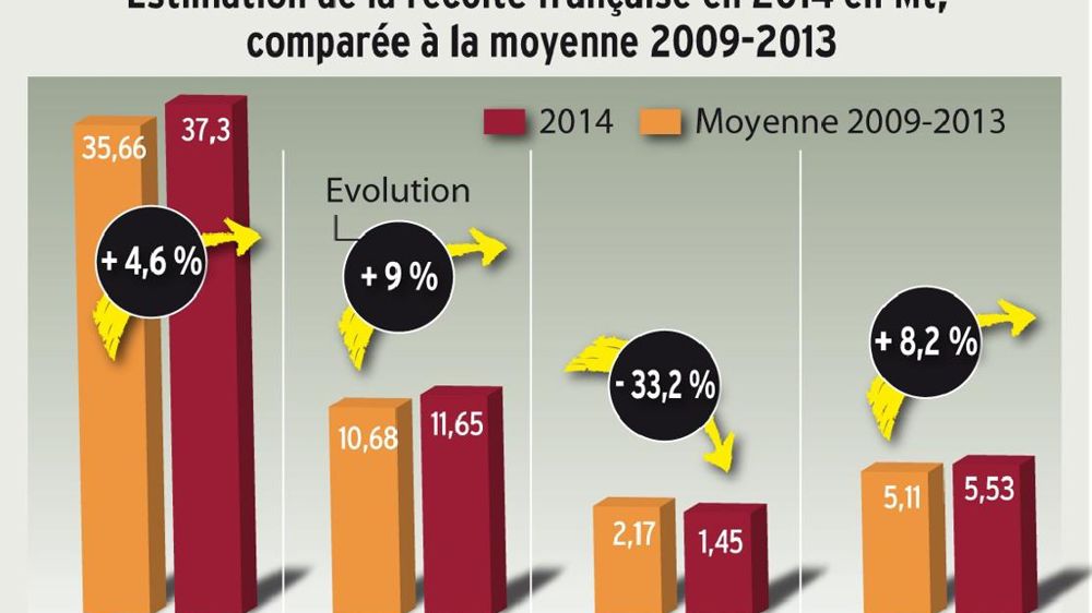 Volumes abondants. Si l'on s'en tient à la quantité, la récolte aura été au rendez-vous. Avec un rendement moyen de 37 q/ha, le colza excelle. En blé tendre, il s'agirait selon Agritel du 5e meilleur rendement des vingt dernières années. En revanche, le blé dur pâtit d'une sole en fort retrait.