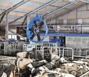 Le ventilateur DDF1200 présente une structure arrondie et tubulaire qui favorise un effet Venturi. 