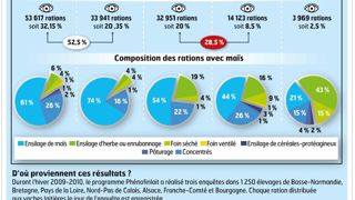 Incorporer 25 à 30 % d'ensilage d'herbe ou de luzerne dans la ration fourragère est un bon compromis entre valeur énergétique et fibrosité suffisantes.© SEBASTIEN CHAMPION Incorporer 25 à 30 % d'ensilage d'herbe ou de luzerne dans la ration fourragère est un bon compromis entre valeur énergétique et fibrosité suffisantes.© SEBASTIEN CHAMPION