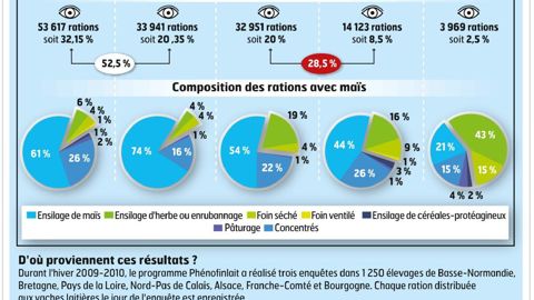 Incorporer 25 à 30 % d'ensilage d'herbe ou de luzerne dans la ration fourragère est un bon compromis entre valeur énergétique et fibrosité suffisantes.© SEBASTIEN CHAMPION