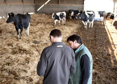 Dans le cadre d'un diagnostic, le technicien peut mesurer directement en élevage par photométrie la qualité chimique de l'eau, mais aussi la structure de la ration, la qualité des fourrages ou la présence d'acétonémie dans le troupeau. © SÉBASTIEN CHAMPION