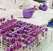 Les scientifiques français travaillent sur l'exploitation des QTL (« quantitative trait locus »), région du génome ayant un effet sur un caractère.© G.DEFOIS Les scientifiques français travaillent sur l'exploitation des QTL (« quantitative trait locus »), région du génome ayant un effet sur un caractère.© G.DEFOIS