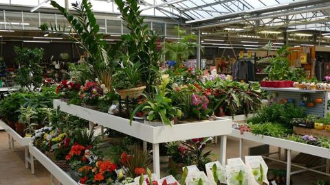 De retour dans les jardineries, les huit managers coachés vont partager leur expérience avec leurs douze autres collègues responsables de magasin.