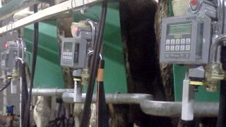 Le LactoCorder est un outil utilisé par plus de trente organismes de conseils en élevage en France. Ce compteur électronique, associé au logiciel ValoLacto, permet d'évaluer des problèmes liés à la technique de traite ou à un dysfonctionnement de la machine à traire.© J.P. Le LactoCorder est un outil utilisé par plus de trente organismes de conseils en élevage en France. Ce compteur électronique, associé au logiciel ValoLacto, permet d'évaluer des problèmes liés à la technique de traite ou à un dysfonctionnement de la machine à traire.© J.P.