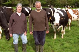 Anne et Serge se sont lancés tôt dans la « holsteinisation » de leur troupeau. Sans doute est-ce pour cette raison qu'ils ont pris conscience de la fragilisation de la holstein il y a déjà plus de dix ans.© C.H. Anne et Serge se sont lancés tôt dans la « holsteinisation » de leur troupeau. Sans doute est-ce pour cette raison qu'ils ont pris conscience de la fragilisation de la holstein il y a déjà plus de dix ans.© C.H.