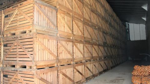 Cette technique nécessite de bien vérifier l’isolation des bâtiments de stockage chez l’agriculteur, et le recours à une machine pour assurer la thermonébulisation du produit sur les tubercules. © B. CAILLIEZ