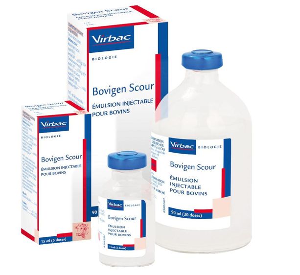 Le vaccin Bovigen Scour est commercialisé en flacon de 90 ml, l'équivalent de 30 doses, ou en flacon de 15 ml, soit 5 doses.