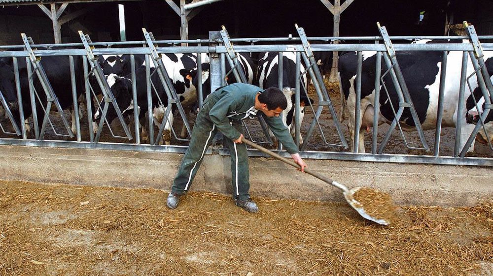 Développer l'autonomie alimentaire, réduire les dépenses énergétiques, mieux s'organiser pour travailler dans la sérénité sont des pratiques durables qui contribuent à abaisser les coûts.© CHRISTIAN WATIER Développer l'autonomie alimentaire, réduire les dépenses énergétiques, mieux s'organiser pour travailler dans la sérénité sont des pratiques durables qui contribuent à abaisser les coûts.© CHRISTIAN WATIER