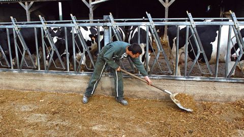 Développer l'autonomie alimentaire, réduire les dépenses énergétiques, mieux s'organiser pour travailler dans la sérénité sont des pratiques durables qui contribuent à abaisser les coûts.© CHRISTIAN WATIER