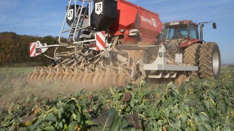 « Dans l’état actuel des données, il n’existe pas d’alternatives d’usage courant pour les exploitations en SD et TCS. Si le labour même occasionnel faisait figure d’alternative, l’impact économique est majeur », affirme l’Inrae en conclusion de son étude. © C. THIRIET