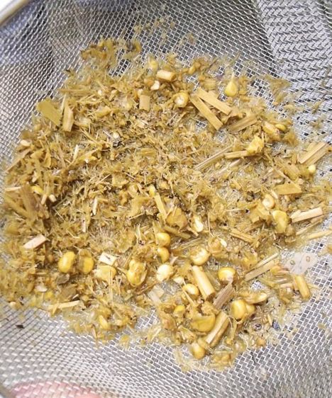 Les bouses sont mieux digérées (résidus après nettoyage de la bouse, avant et après l'incorporation du RumenStimul), signe visuel d'une meilleure efficacité alimentaire. 